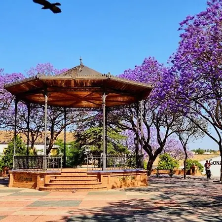 Alazan Jerez Ii-parking Gratis-wifi-netflix
